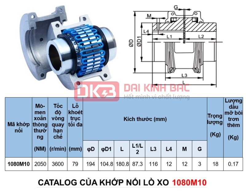 Catalog khớp nối lò xo 1080M10