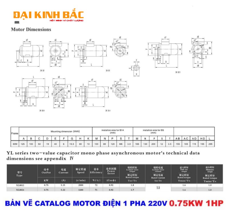 CATALOG CHI TIẾT CỦA ĐỘNG CƠ ĐIỆN 1 PHA 220V 0.75KW 1HP
