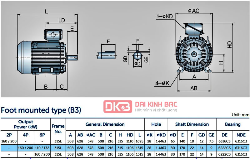 Motor Điện 3 Pha 160KW- 200HP 6P 6 Cực - Hyosung Hàn Quốc