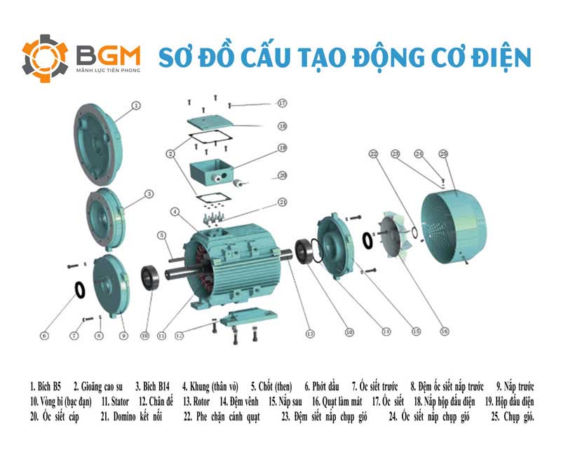 CAU-TAO-DONG-CO-DIEN-IE2-IE3