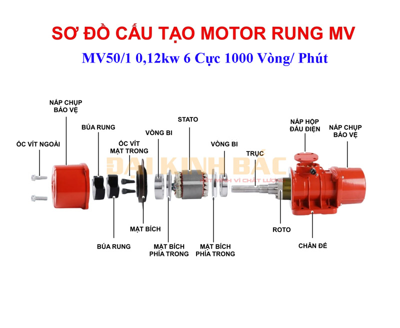 Sơ đồ cấu tạo Motor rung MV50/1 0.12kw 6 cực 1000 vòng/phút