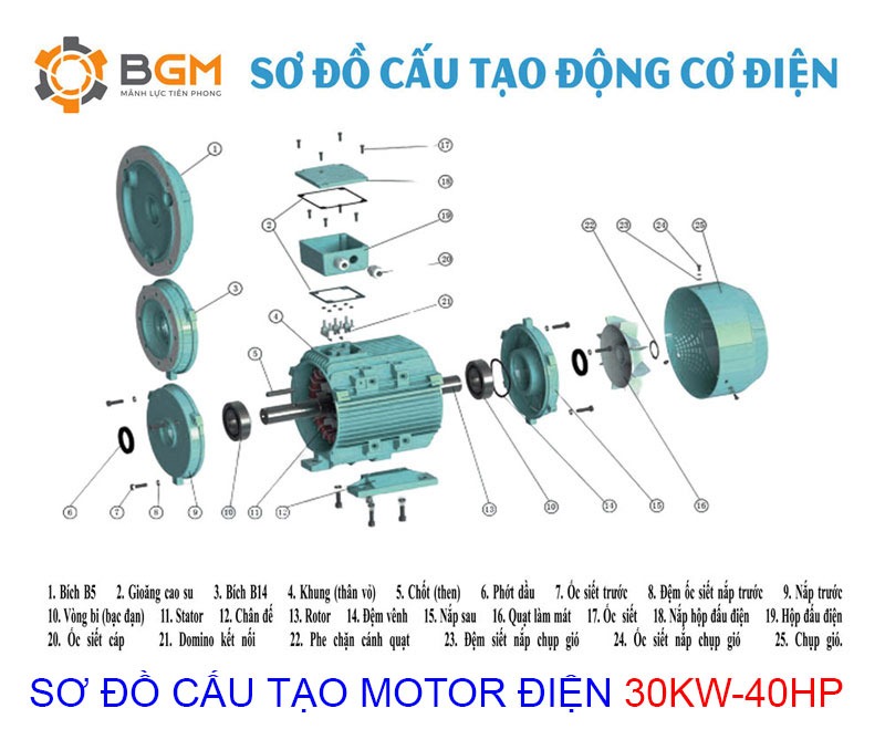 sơ đồ cấu tạo chi tiết của Motor điện 30Kw - 40Hp