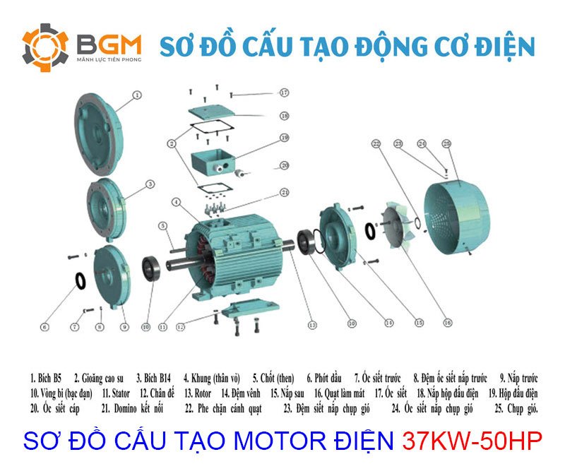 so do cau tao chi tiet motor 37kw