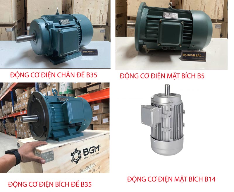 chuyên cung cấp motor điện chính hãng