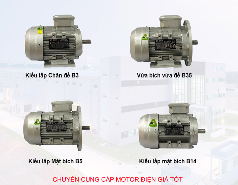 chuyên cung cấp motor điện giá tốt