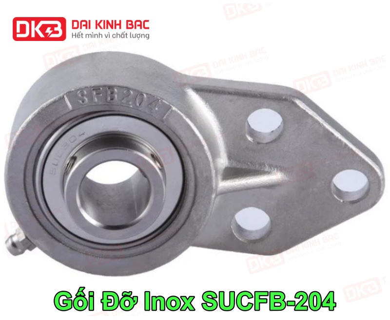 dd-goi-do-inox-SUCFB-204