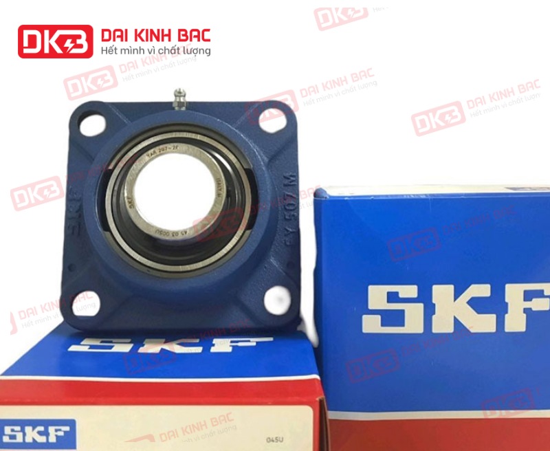 dd-goi-do-vong-bi-SKF-UCF