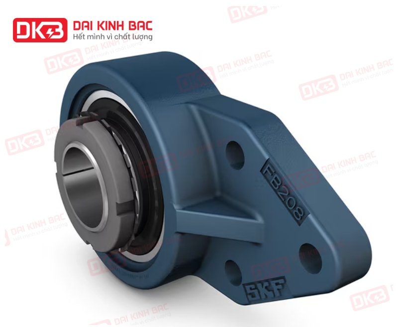 dd-goi-do-vong-bi-SKF-UKFB