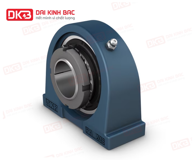 dd-goi-do-vong-bi-SKF-UKPA