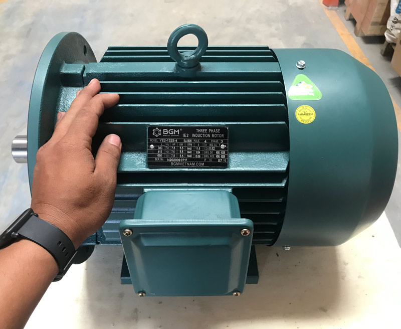 Động cơ điện 200kw 270 hp 2 cực