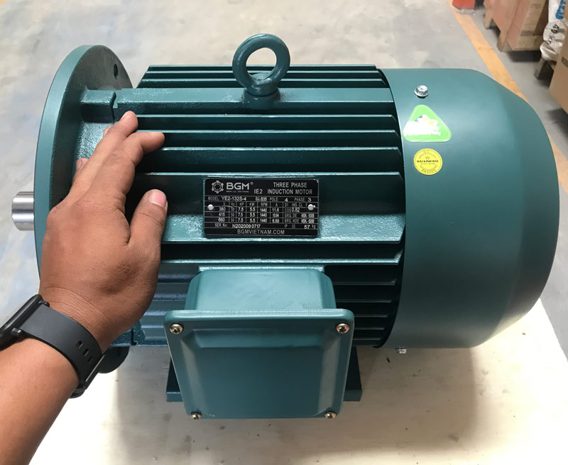 Động cơ điện 45kw 60 hp 2 cực