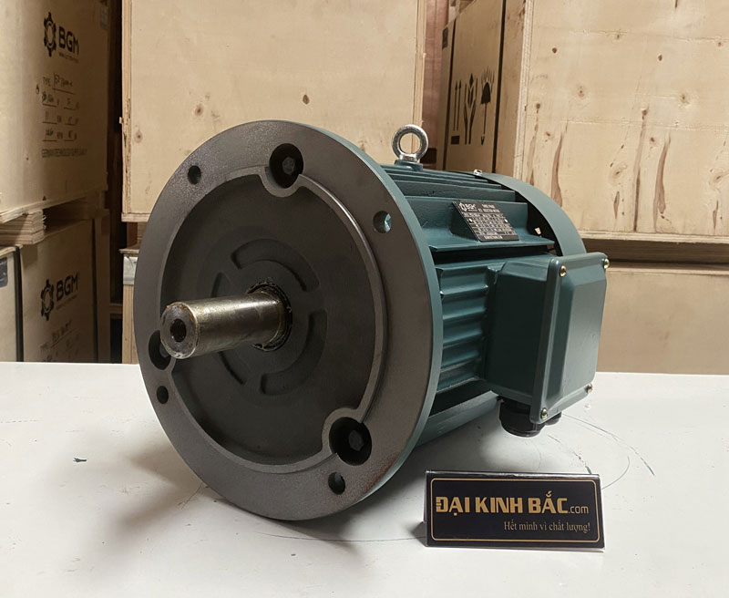 dong co dien 55kw 75hp