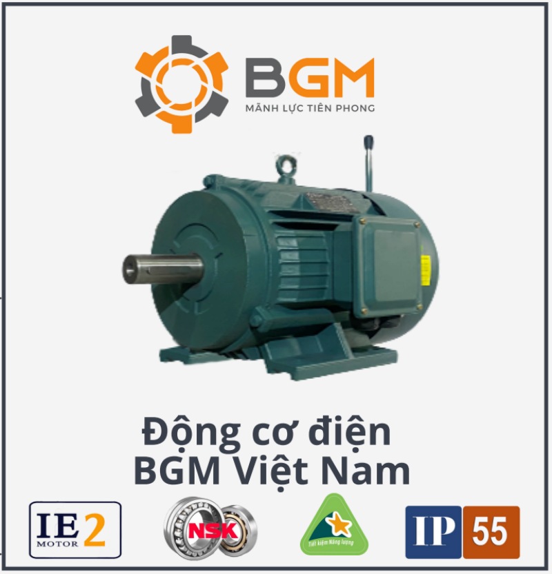 động cơ điện BGM