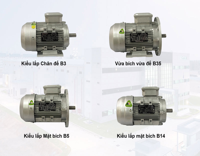 động cơ điện tiêu chuẩn ip55