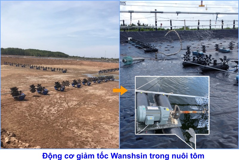 Máy móc công nghiệp: Động cơ giảm tốc thông dụng nuôi tôm miền nam Dong-co-giam-toc-thong-dung-lap-quat-nuoi-tom-GH-lap-dat