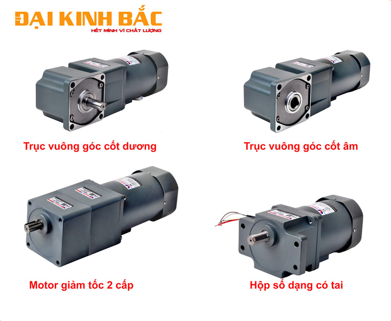 Động cơ giảm tốc mini 6w-250w