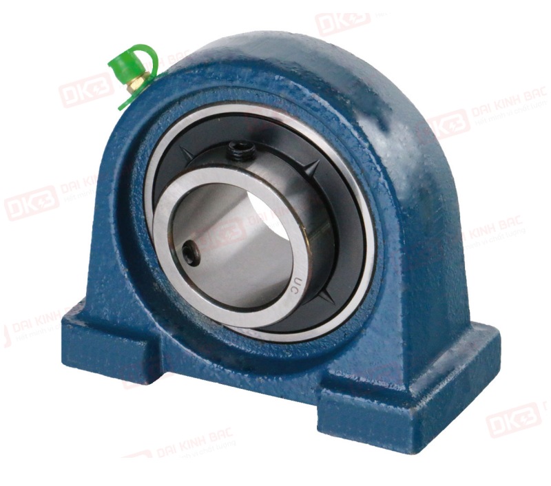 goi-do-vong-bi-SKF-UCPA-