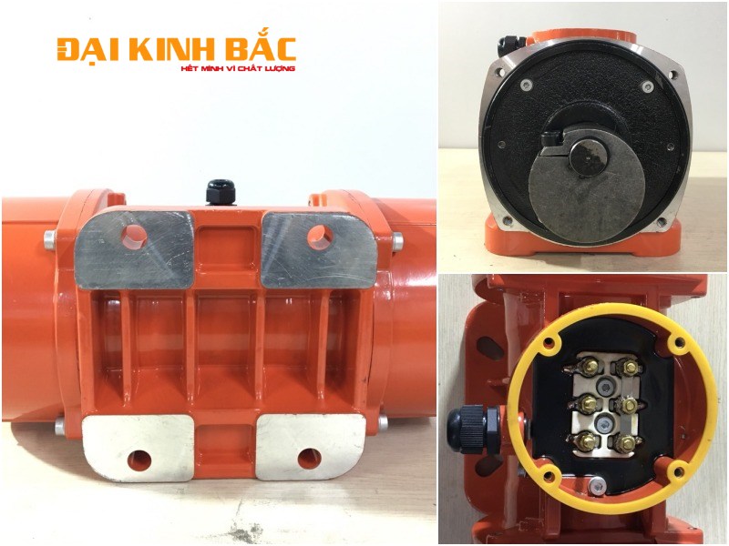 Hình ảnh thực tế motor rung MV15000/3 18.8Kw 2 cực 3000 vòng/phút