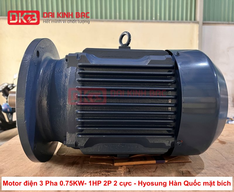 motor-dien-3-pha-0.75kw-1hp-2p-2-cuc-hyosung-han-quoc-mat-bich