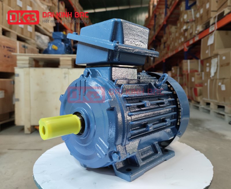 motor-dien-3-pha-11KW- 15HP-2p-2-cuc-hyosung-han-quoc-chan-de