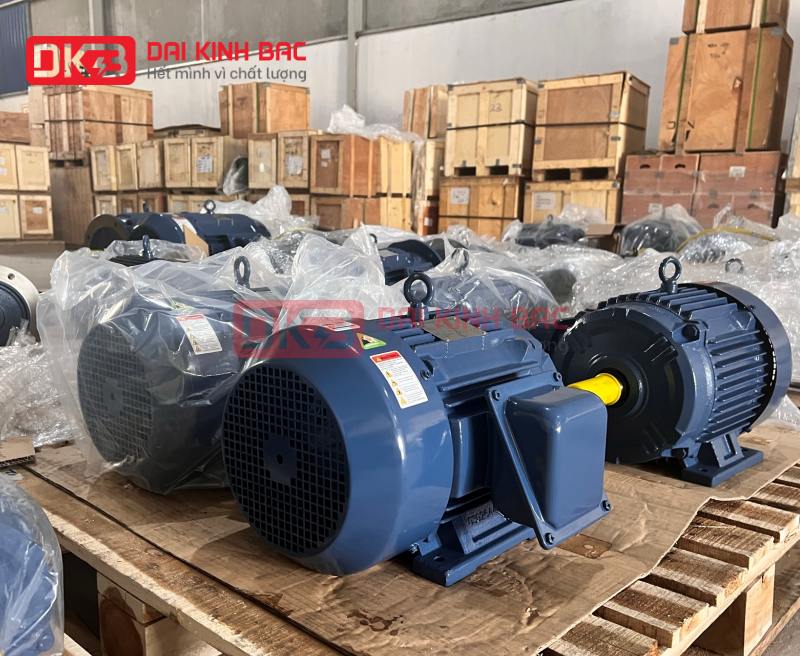 motor-dien-3-pha-55KW- 75HP-2p-2-cuc-hyosung-han-quoc-thuc-te