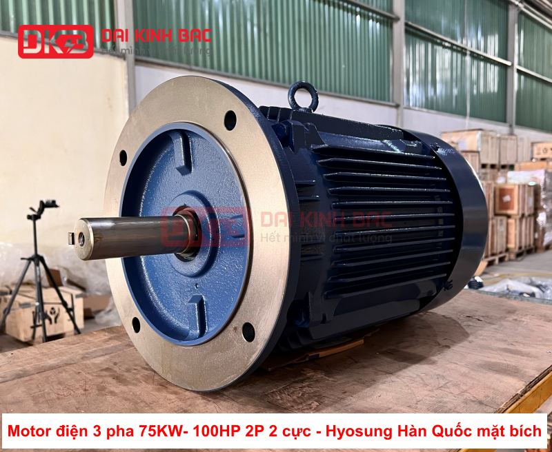 motor-dien-3-pha-75KW- 100HP-2p-2-cuc-hyosung-han-quoc-mat-bich