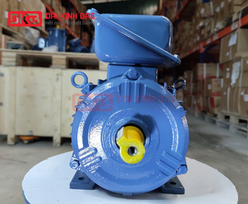 motor-dien-3-pha-90KW- 125HP-2p-2-cuc-hyosung-han-quoc-chan-de