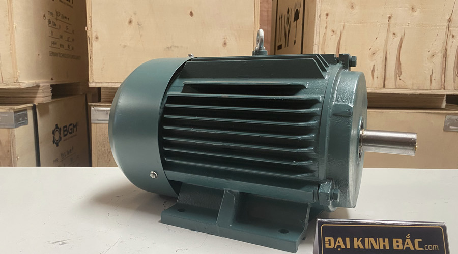 Motor điện chân đế 200Kw