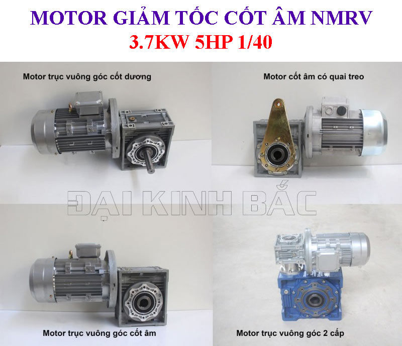 Motor giảm tốc cốt âm NMRV 3.7Kw 5Hp 1/40