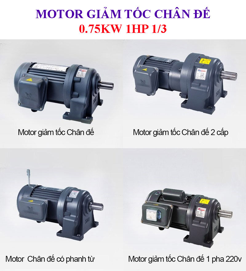 Motor giảm tốc chân đế 0.75kw 1Hp 1/3