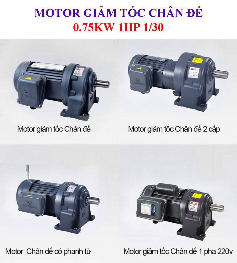 Motor giảm tốc chân đế 0.75Kw 1HP 1/30