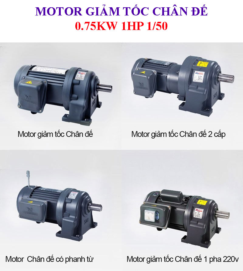 Motor giảm tốc chân đế 0.75Kw 1HP 1/50