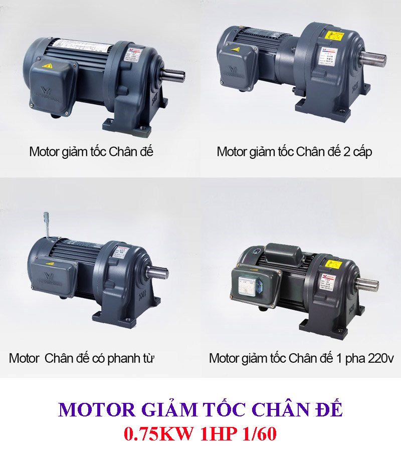 Motor giảm tốc chân đế 0.75kw 1HP 1/60