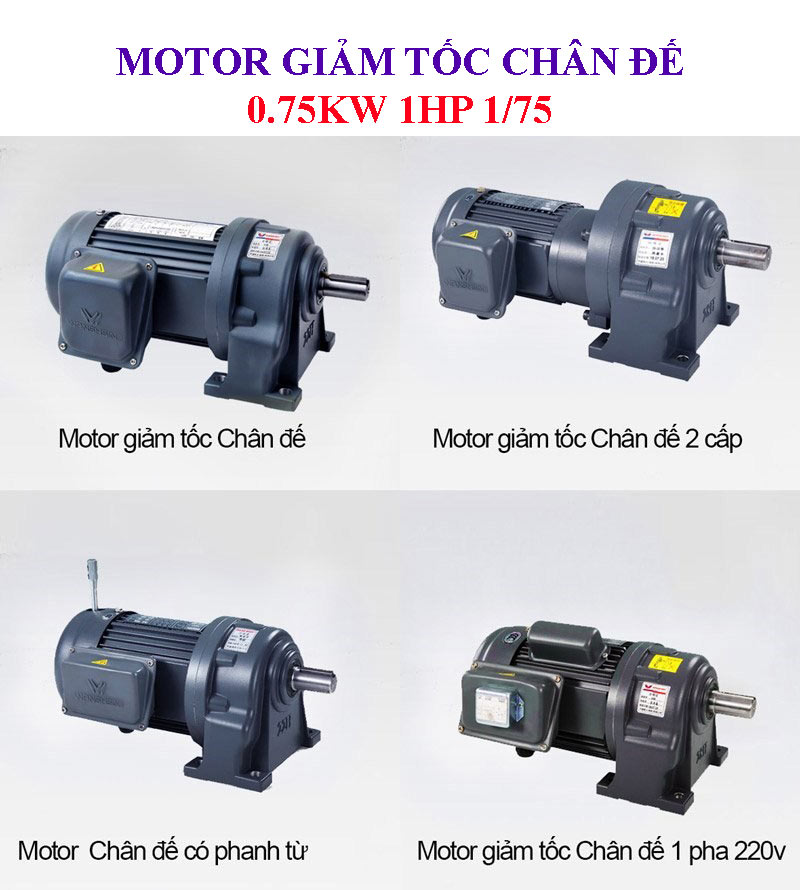 Motor giảm tốc chân đế 0.75kw 1hp 1/75