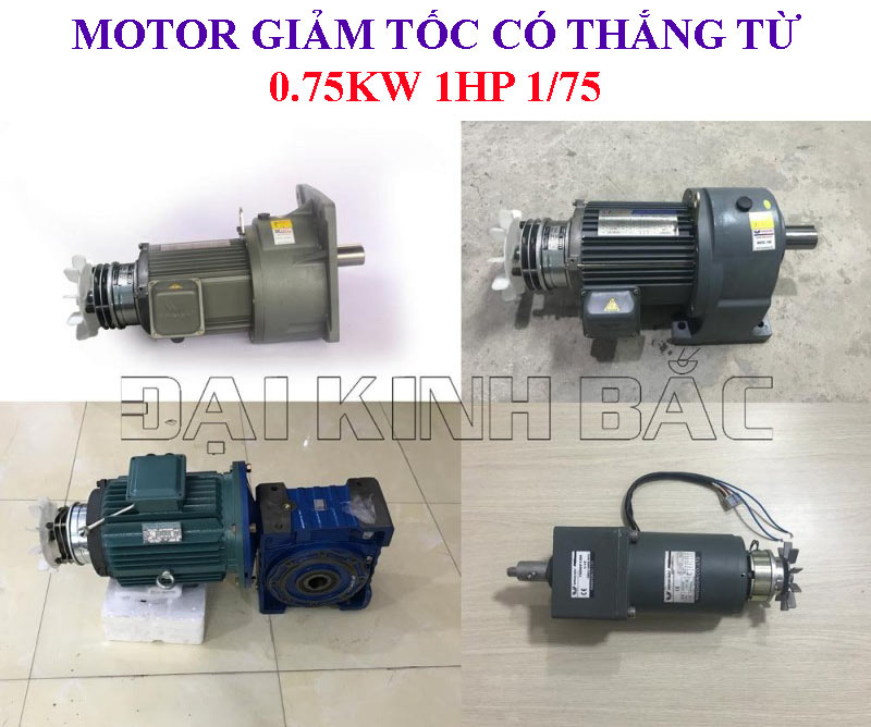 Motor giảm tốc có thắng từ 0.75kw 1hp 1/75