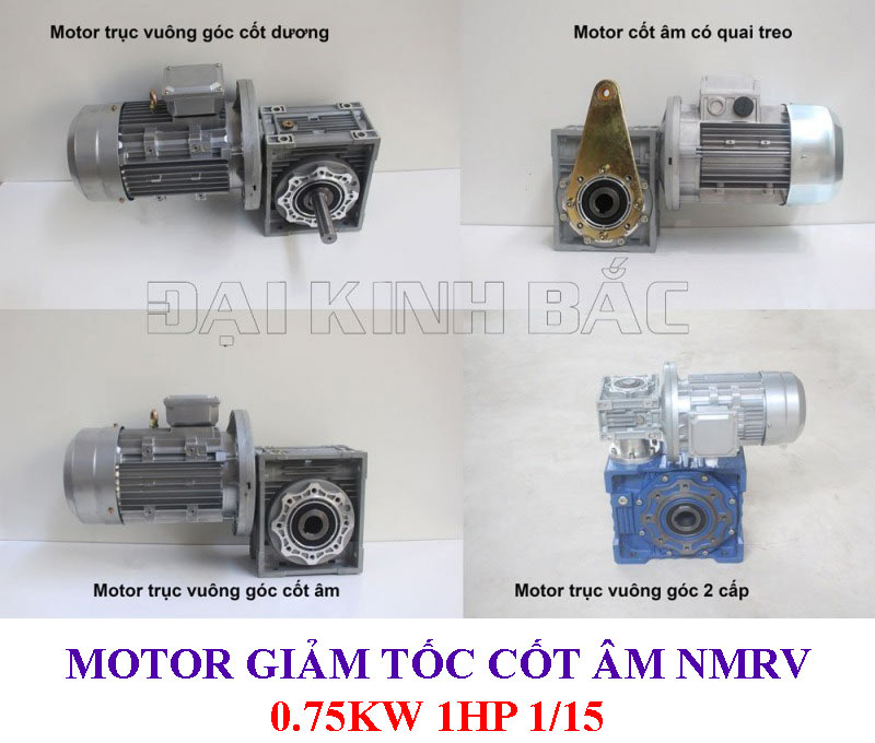 Motor giảm tốc cốt âm NMRV 0.75Kw 1Hp 1/15