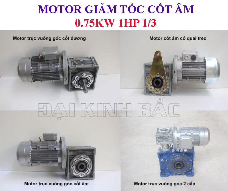 Motor giảm tốc cốt âm NMRV 0.75kw 1Hp 1/3