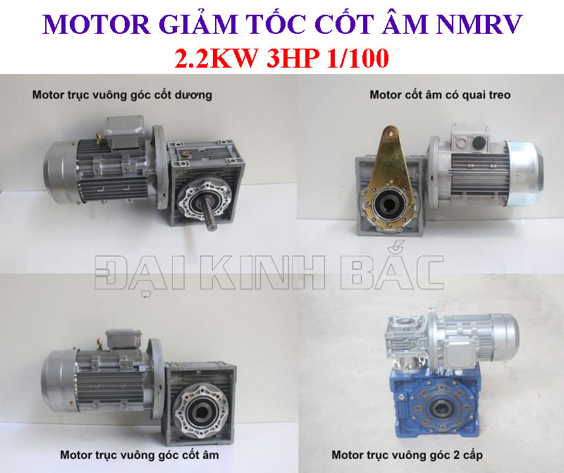 Motor giảm tốc cốt âm NMRV 2.2Kw 3Hp 1/100