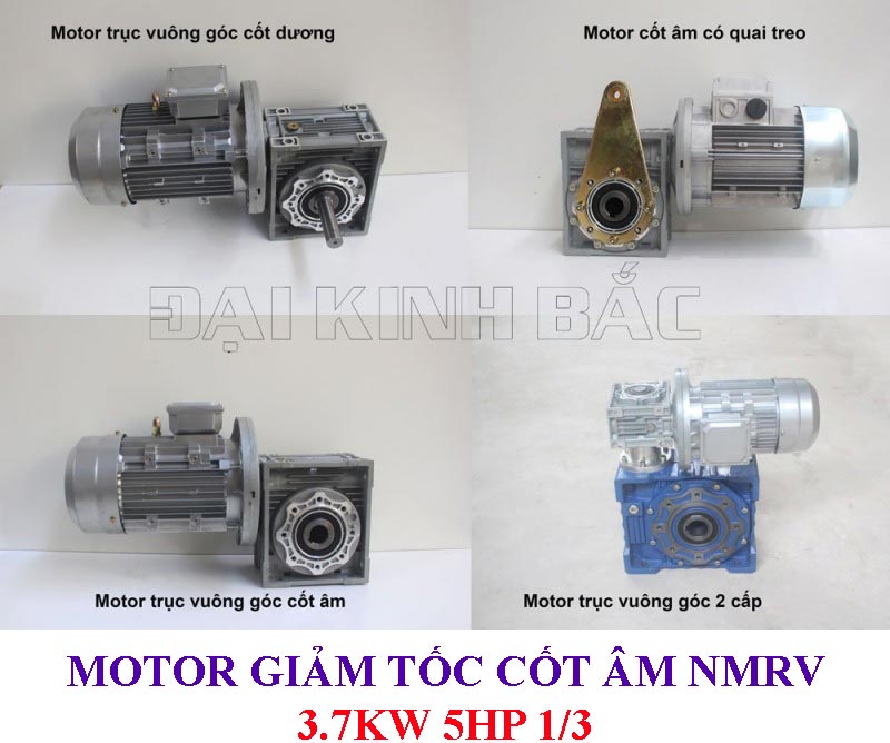 Motor giảm tốc cốt âm NMRV 3.7Kw 5Hp 1/3