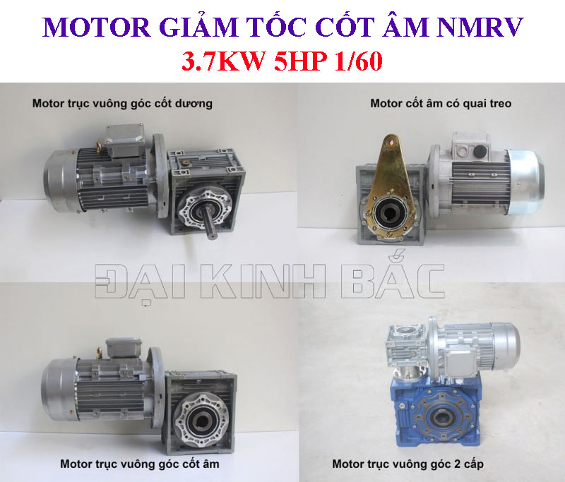 Motor giảm tốc cốt âm NMRV 3.7Kw 5Hp 1/60