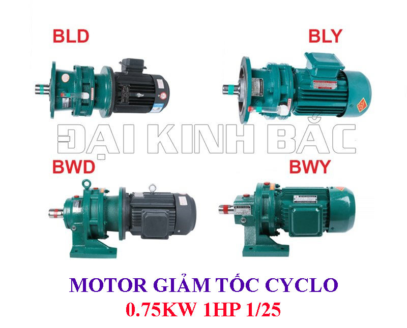 Motor giảm tốc Cyclo 0.75Kw 1HP 1/25