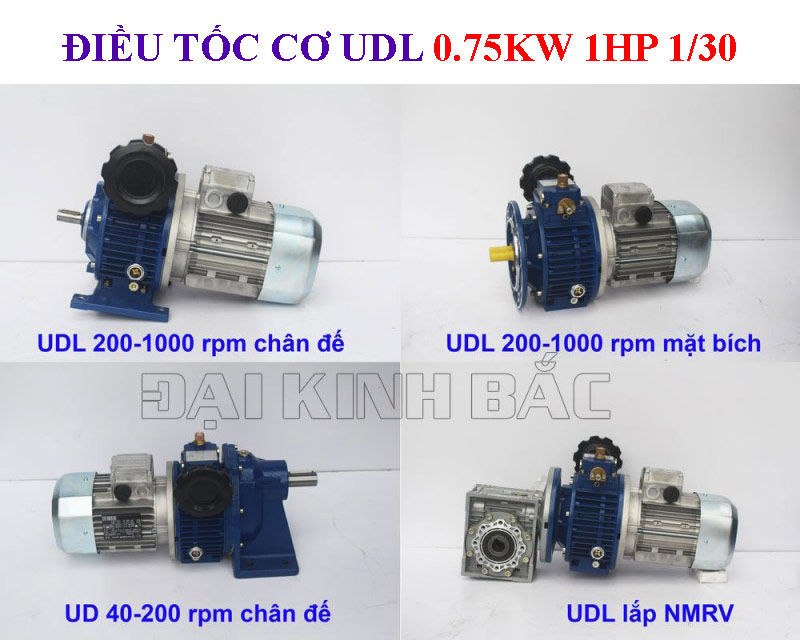 Điều tốc cơ UDL 0.75kw 1HP 1/30