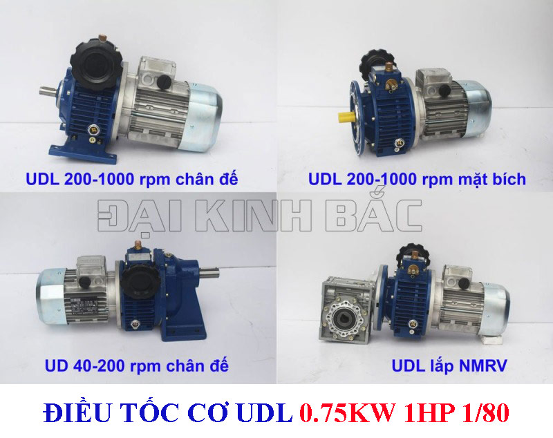 Điều tốc cơ UDL 0.75kw 1HP 1/80