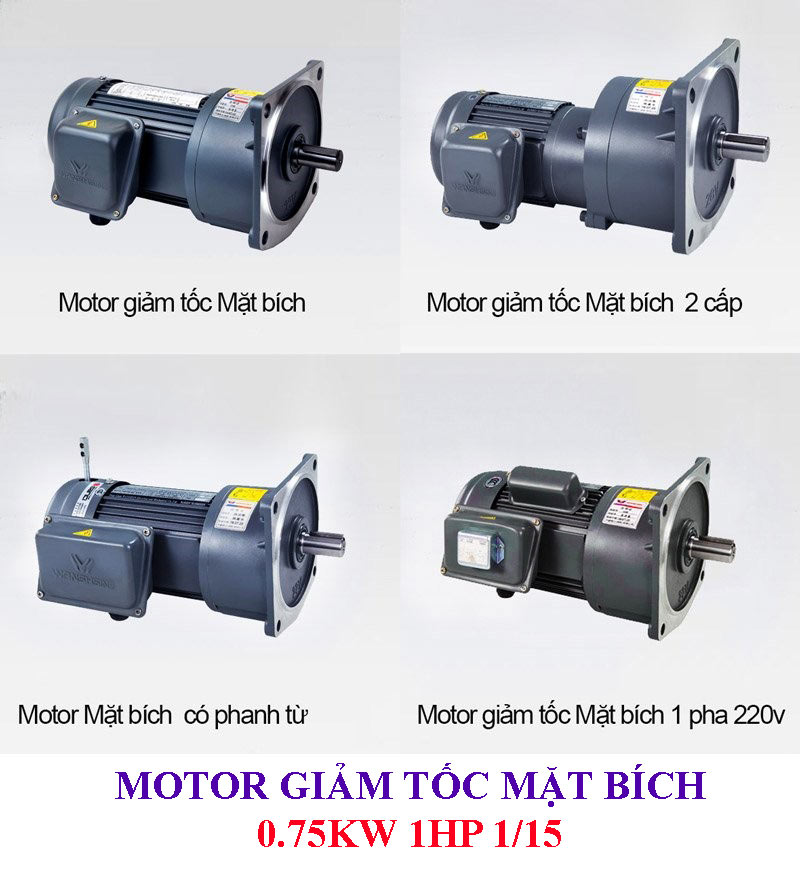 Motor giảm tốc chân đế 0.75Kw 1Hp 1/15