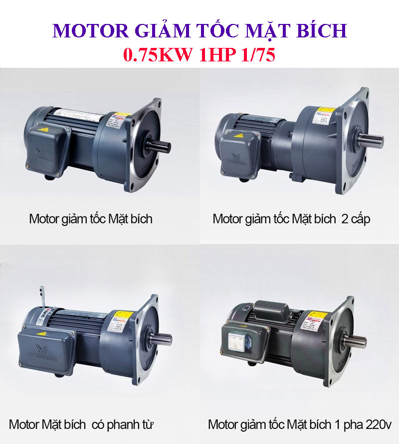 Motor giảm tốc mặt bích 0.75kw 1hp 1/75