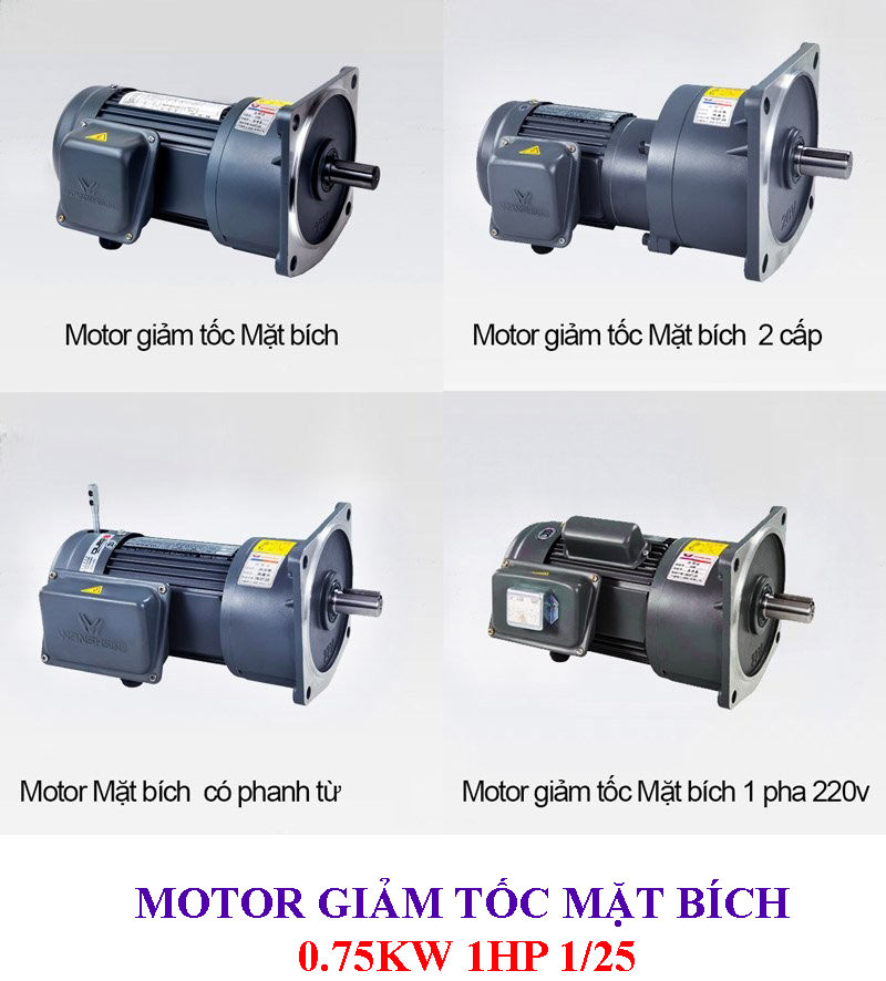 Motor giảm tốc mặt bích 0.75KW 1HP 1/25