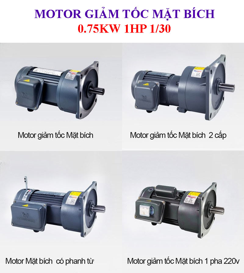 Motor giảm tốc mặt bích 0.75kw 1HP 1/30