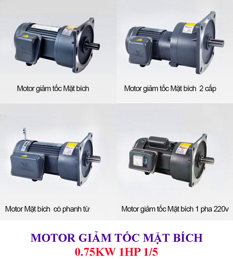 Motor giảm tốc mặt bích 0.75Kw 1Hp 1/5