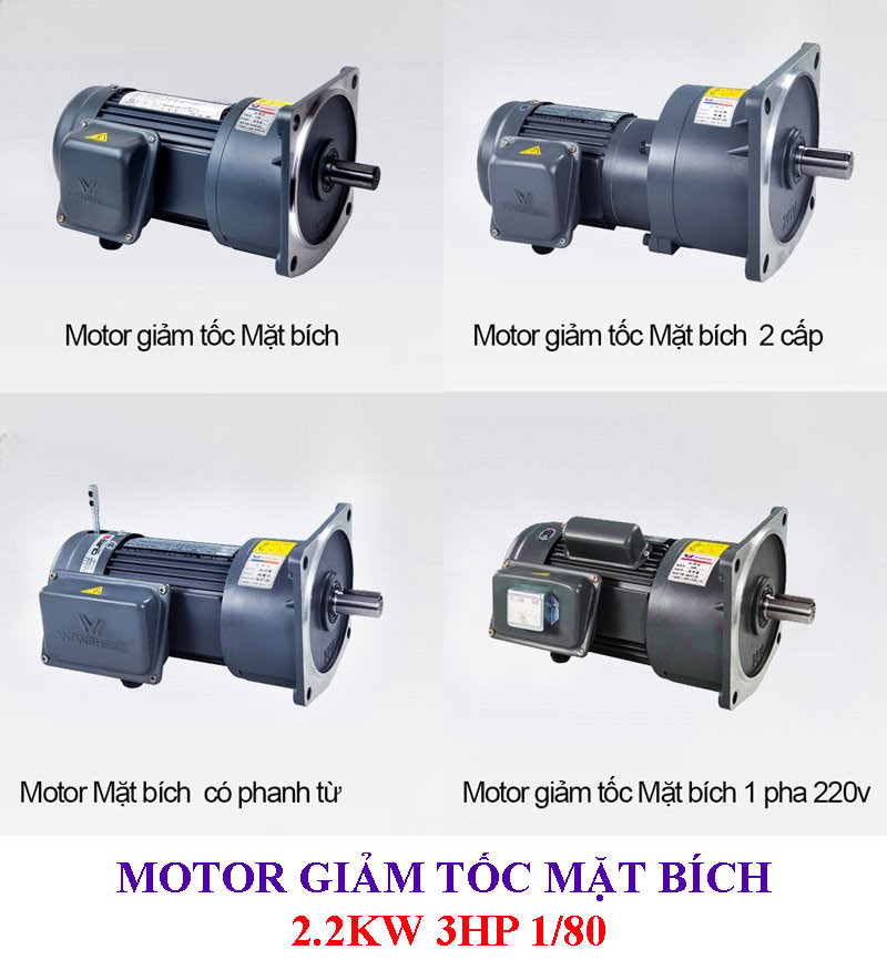 Motor giảm tốc mặt bích 2.2Kw 3HP 1/80