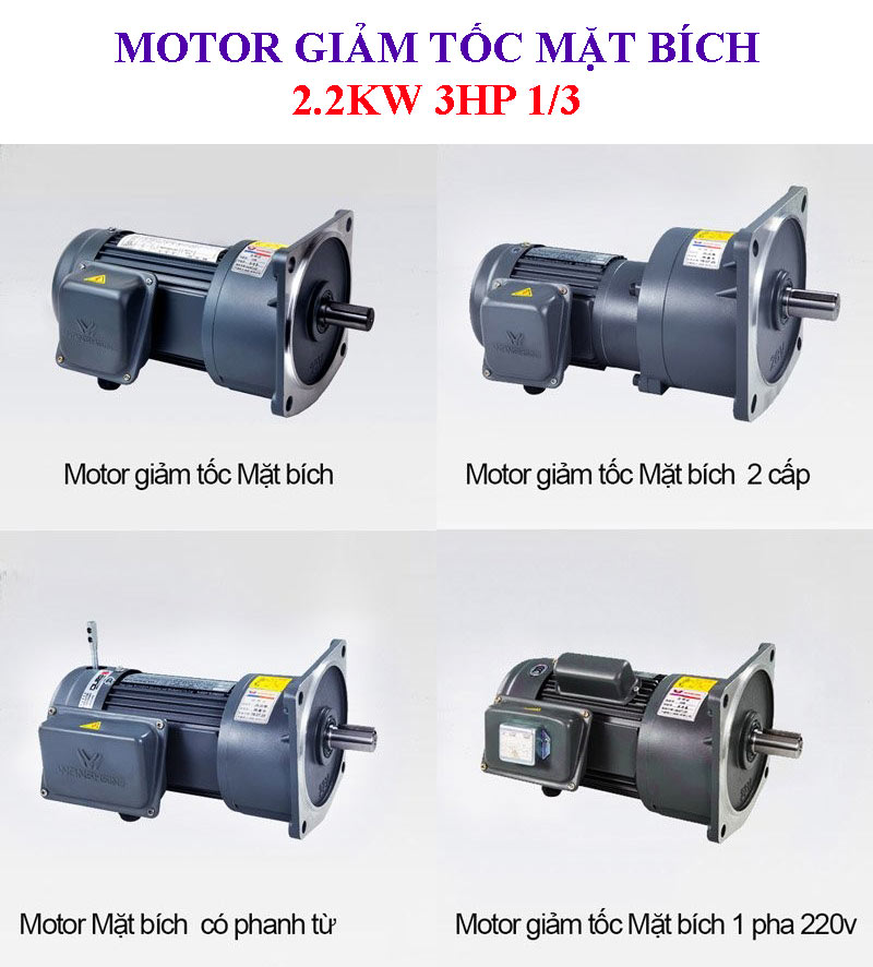 Motor giảm tốc mặt bích 2.2Kw 3Hp 1/3